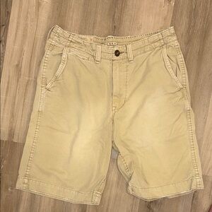 American Eagle Outfitters Tan Flat Front Shorts Relaxed Fit